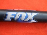 fox 2.JPG