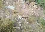 DSC00578.JPG