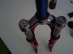 DSC01687.jpg