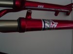 DSC01688.jpg