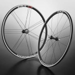 campy_eurus_pair.jpg