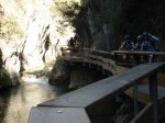 DSC02626cazorla.jpg