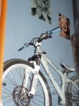 bike3 (2).JPG