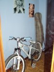 bike3 (1).JPG