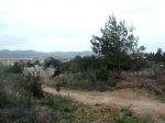 MOV07649_0003.jpg