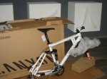 DSC05617.JPG