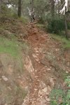 DSC01699.JPG