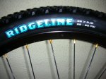 DSCN4230.JPG