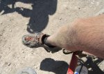 marathon de los monegros 4.JPG