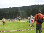 carrera.jpg