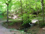 DSCN2754.jpg