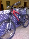 06052006047.jpg