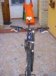 DSC03975.JPG