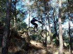 Vuelo2[1].jpg