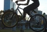 bike troner.jpg