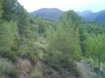 DSC00589.JPG