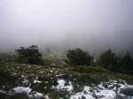 Foto29.JPG