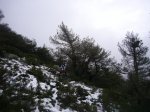 Foto30.JPG