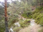 Foto38.JPG