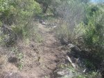 IMG_0775.jpg