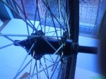 DSC00590.jpg