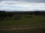 MTB Soto ViÃ±uelas 110508 (6) [1024x768].JPG