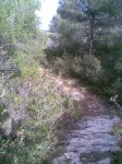 Imagen018.jpg