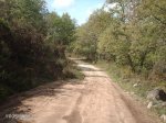 DSC00002.jpg