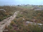 DSC00004.jpg