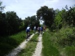 img1448vo1.jpg