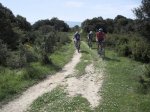img1453zi2.jpg