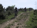 img1456hx4.jpg
