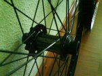 DSC00074.JPG