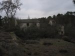 mini-IMG_2813.JPG
