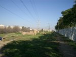 IMGP0955.JPG