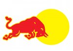 toro1.jpg