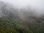 P5110001.JPG