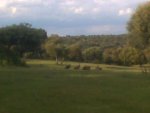 IMG00153.jpg