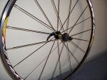 Mavic 004.jpg