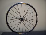 Mavic 007.jpg