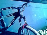 IMG0071A.jpg