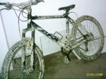 PIC_0001.jpg