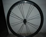 DSC00230.JPG