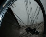 DSC00233.JPG