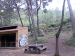 Imagen022.jpg
