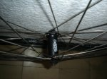 DSC00057.JPG