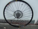 Nuevas 024.jpg