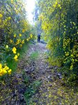11-05-08_1030.jpg