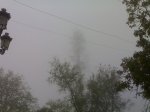 14052008239.jpg