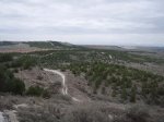 pinar_cerro_del_telÃ©grafo.jpg
